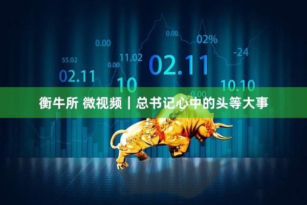 衡牛所 微视频｜总书记心中的头等大事