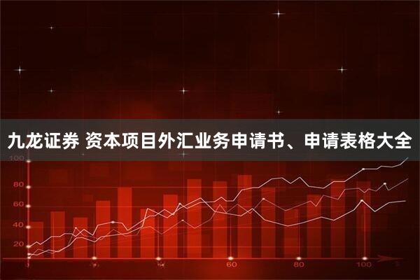 九龙证券 资本项目外汇业务申请书、申请表格大全