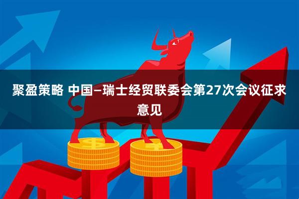 聚盈策略 中国—瑞士经贸联委会第27次会议征求意见