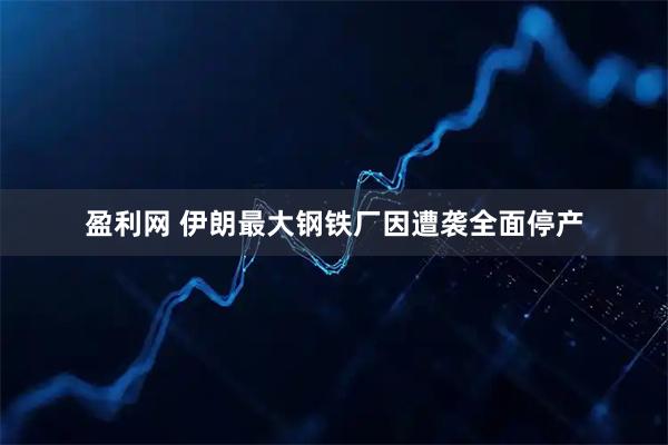 盈利网 伊朗最大钢铁厂因遭袭全面停产