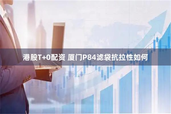 港股T+0配资 厦门P84滤袋抗拉性如何