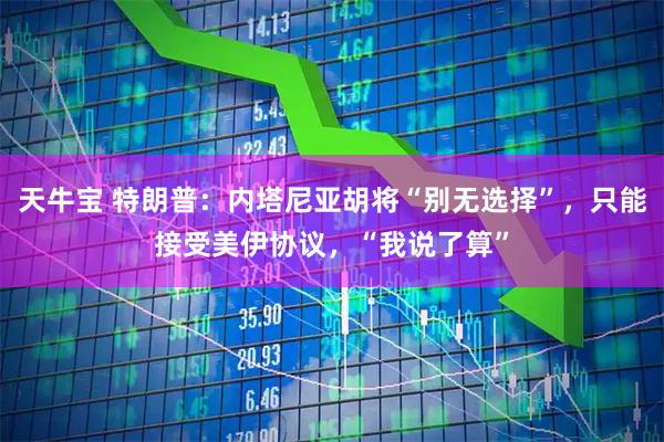 天牛宝 特朗普：内塔尼亚胡将“别无选择”，只能接受美伊协议，“我说了算”