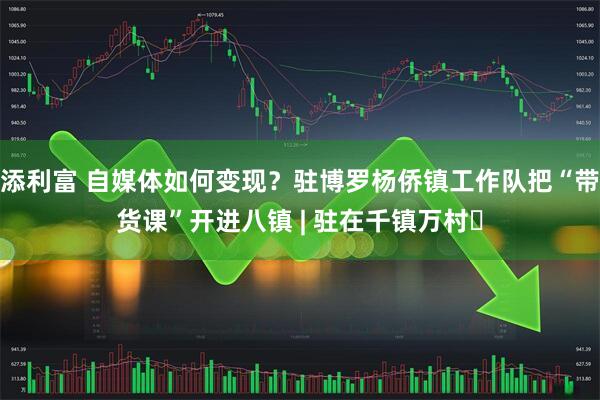 添利富 自媒体如何变现？驻博罗杨侨镇工作队把“带货课”开进八镇 | 驻在千镇万村㉟