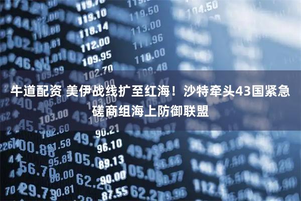 牛道配资 美伊战线扩至红海!沙特牵头43国紧急磋商组海上防御联盟